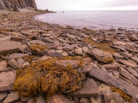 Cape Enrage, Nowy Brunszwik